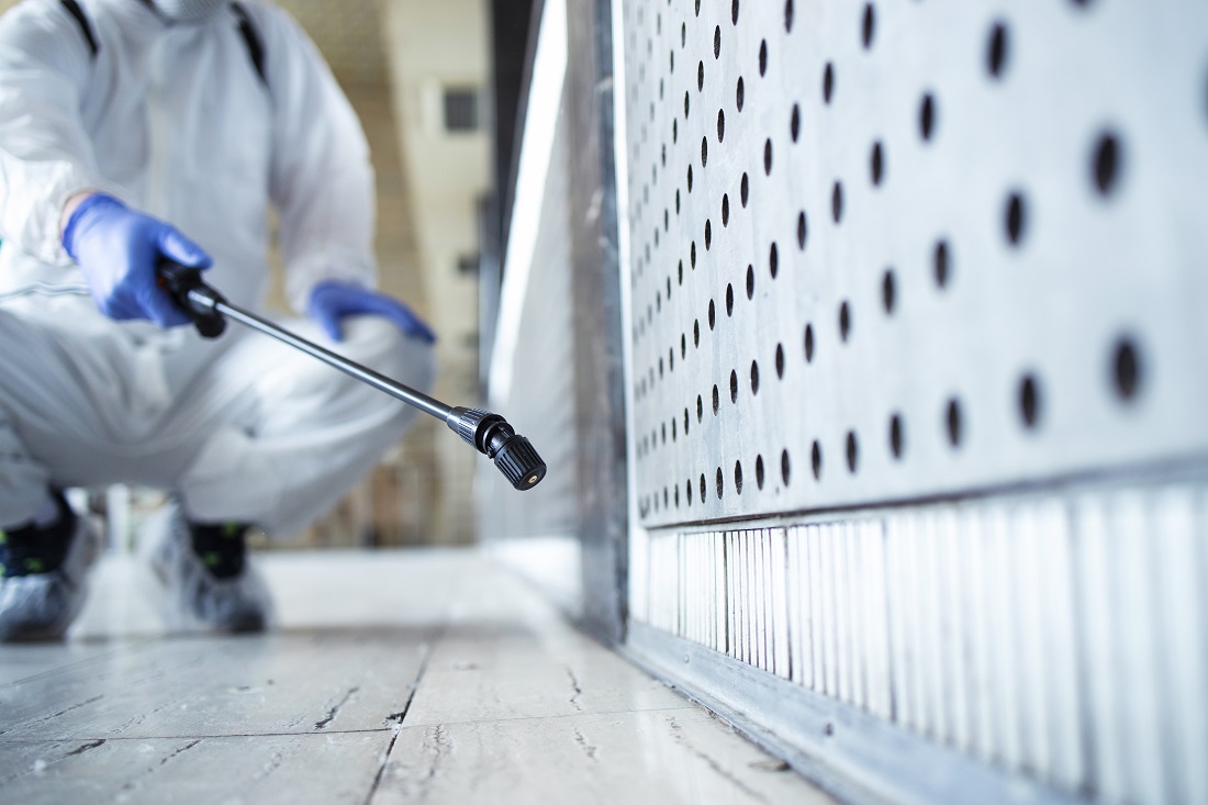 Choosing Hawx Pest Control for Reliable Pest Management
